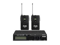  Радиосистема DV audio BGX-24 Dual с гарнитурами комплект